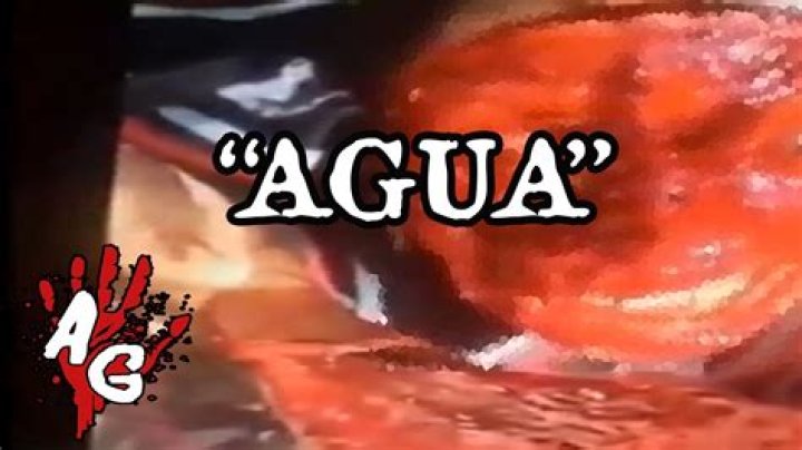 Quiero Agua: A Deep Dive into the World of Gore Videos