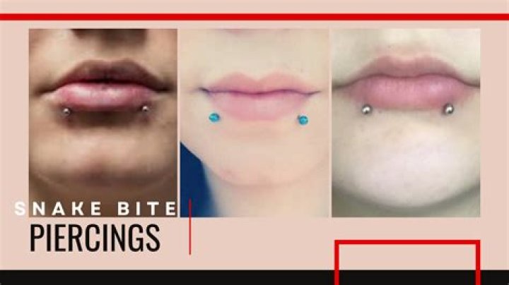 Raccoon Bite Piercing: A Comprehensive Guide to This Trendy Double Lip Piercing