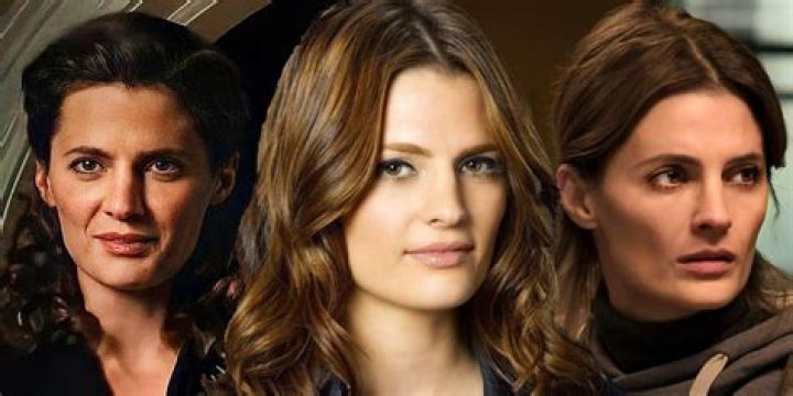 Stana Katic: A Doctor's Journey Beyond Acting
