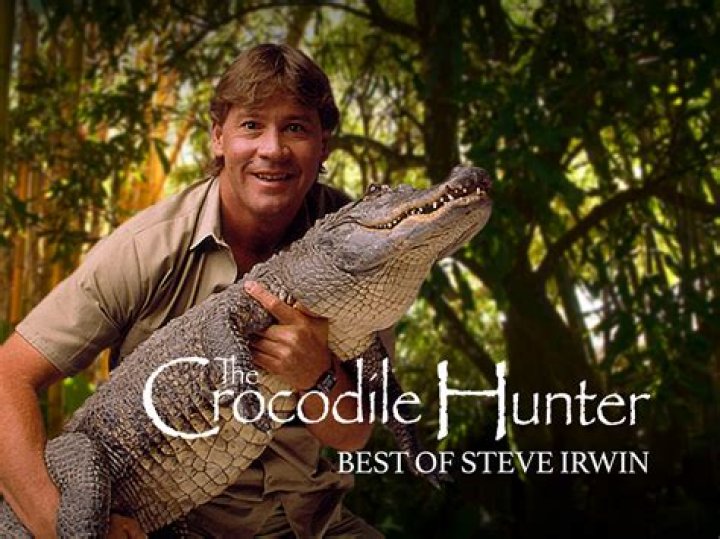 Steve Irwin's Death: A Detailed Account and Legacy of the Crocodile Hunter