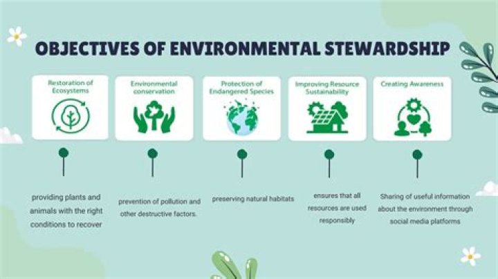 Survival Secrets, Teamwork, And Environmental Stewardship