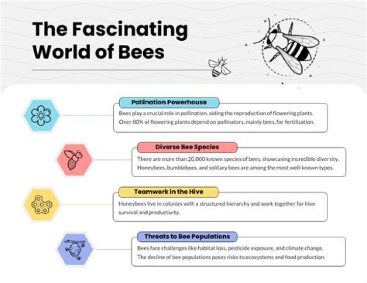 The Fascinating World of Bees: A Comprehensive Exploration