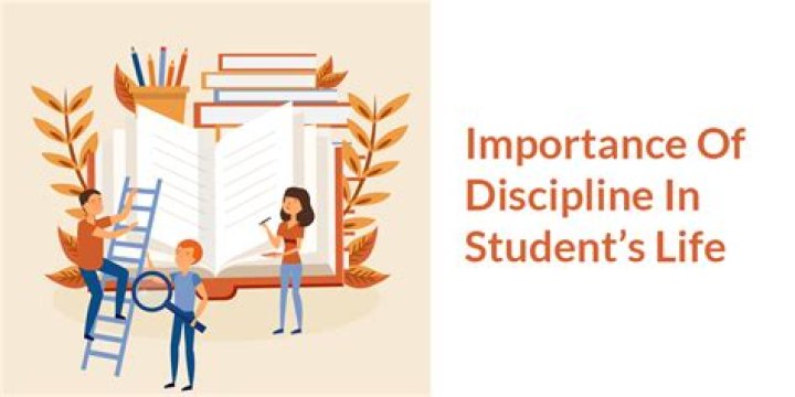 The Paramount Role of Discipline and Strategy in Achieving Success