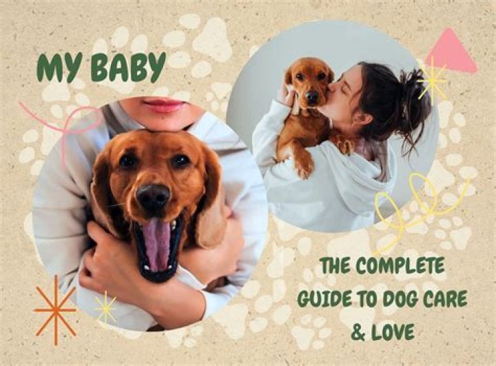 The Ultimate Guide to Dog Care: Everything You Need to Know for a Happy and Healthy Dog