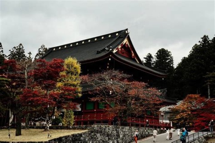 Togwotee Village: A Serene Escape in the Heart of Wyoming