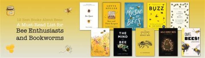 Top Bee Sites: Discover the Best Platforms for Bee Enthusiasts