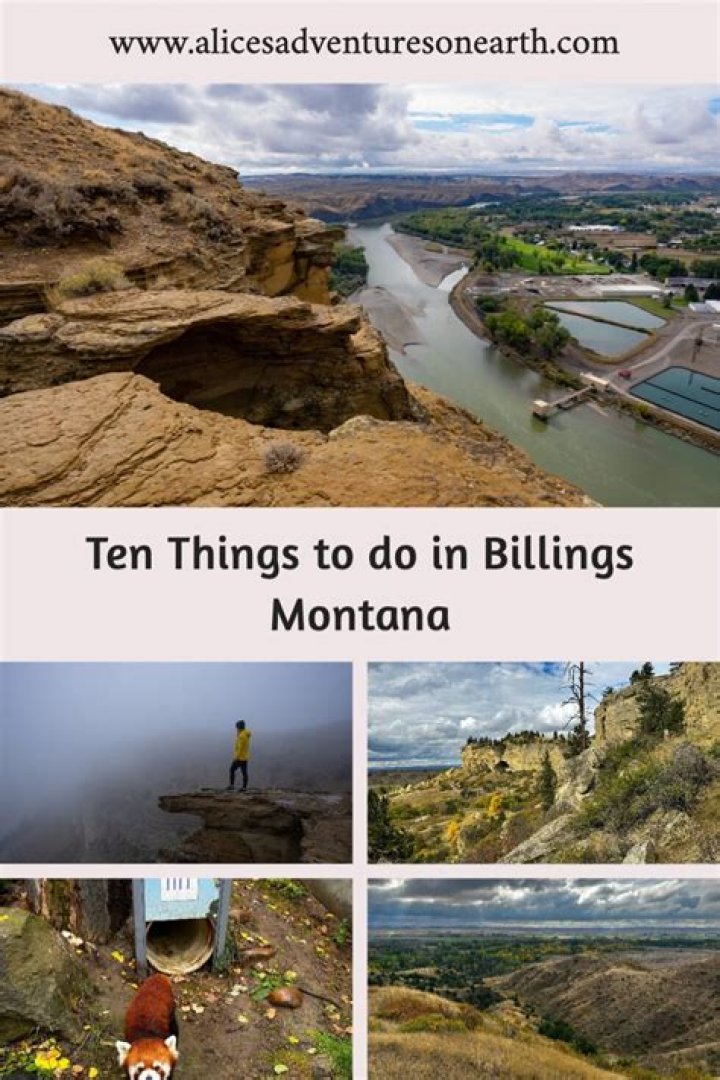 Top Stuff to Do in Billings, Montana: A Comprehensive Guide