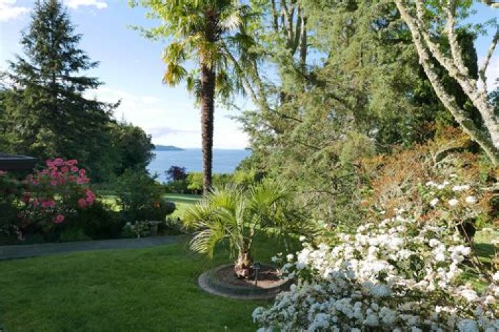 Uncover Gardening Secrets And Flourish At Vashon Garden Tour 2023