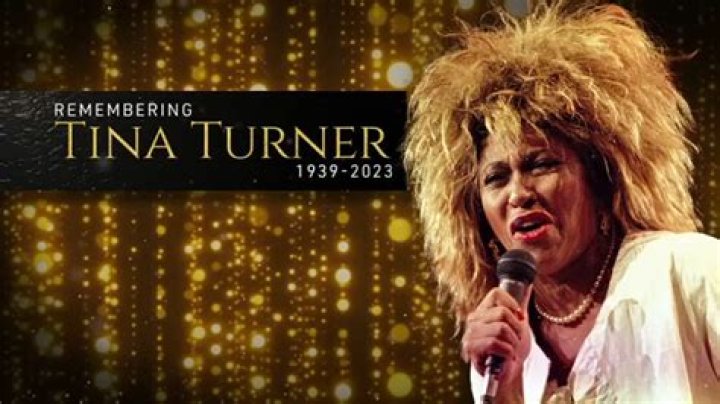 Uncover The Untold Story Of Tina Turner's Daughter, The Sensational Singer