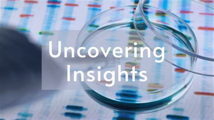 Uncovering Insights And Life Journey