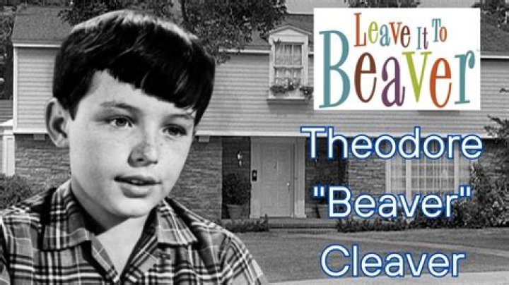 Uncovering The Secret Behind Theodore Cleaver's Nickname