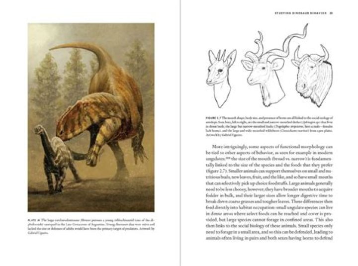 Uncovering The Secrets: Channing Tatum's Brother Revealed