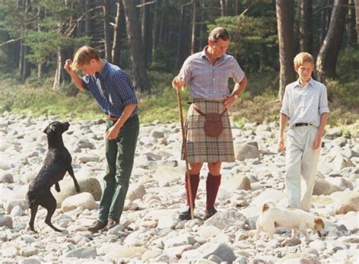Unearth Rare Insights And Discoveries From The Iconic "Photo Of Prince Charles, William, And Harry"