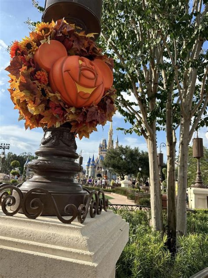 Unleash The Magic Of Halloween Alegria: Discoveries And Insights