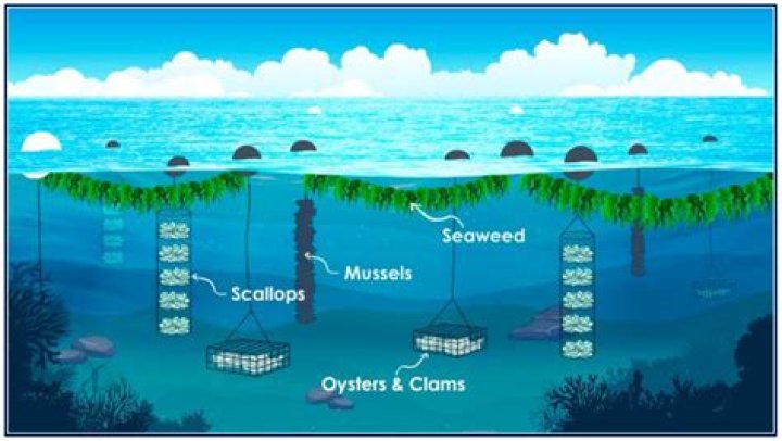 Unleashing The Enigmatic Douglas Edward Paisley: Discoveries And Insights