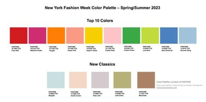 Unlock The Secrets Of New York Fashion Week 2024: Volunteer Insider's Guide