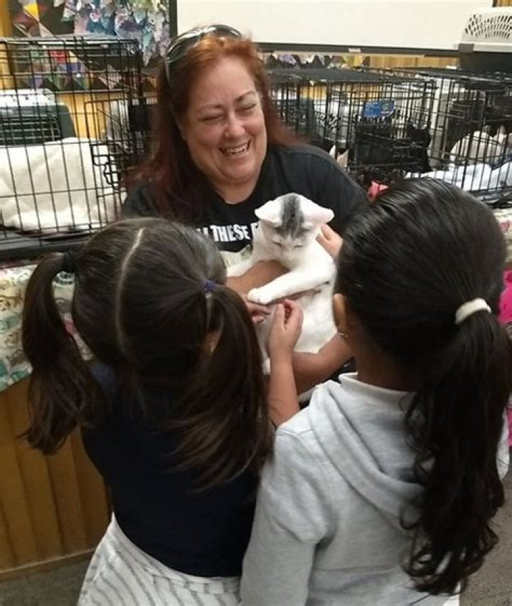 Unlock The Secrets Of Texas Pawprints: Uncover Hidden Truths