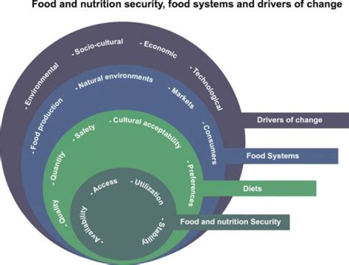 Unlocking The Secrets Of Food Systems For Health And Equity