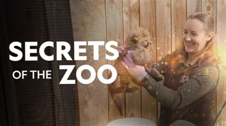 Unlocking The Secrets Of Zoo Ex