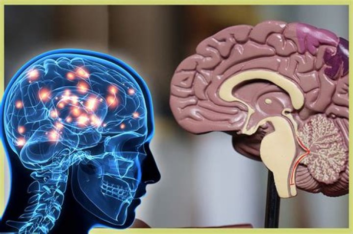 Unraveling The Multifaceted Nature Of Age