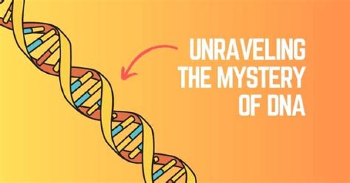 Unraveling The Mysteries Of Human Development