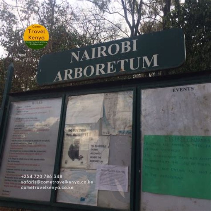 Unveil The Living Museum: Exploring The Nairobi Arboretum