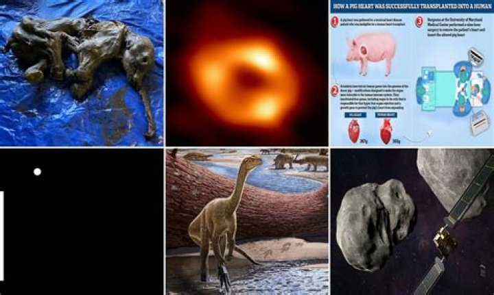 Unveiling Clint Black's Health Journey: Discoveries And Insights Await