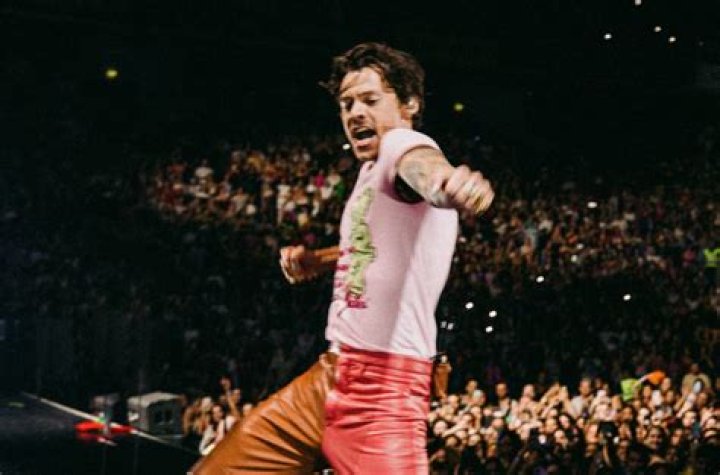 Unveiling The Cultural Impact And Style Secrets Of Harry Styles' Iconic Pink Shorts