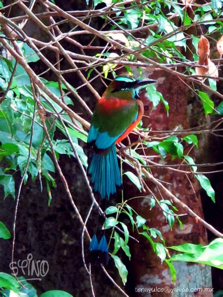 Unveiling The Enchanting Realm Of Upper Straits Lake: Discoveries And Insights