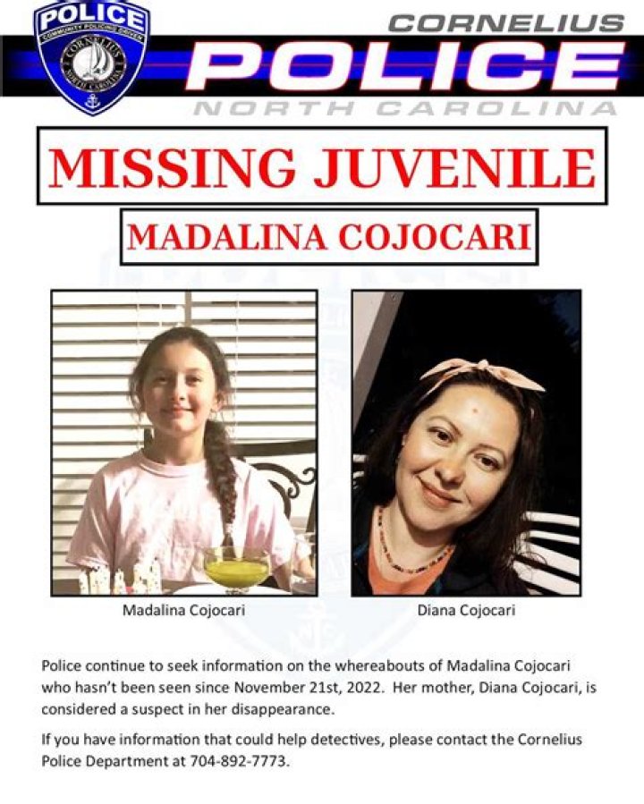 Unveiling The Enigma Of Madalina Cojocari's Disappearance: A Comprehensive Investigation