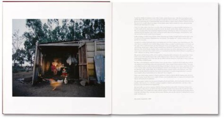 Unveiling The Enigmatic Meaning Of Lightning Tattoos: Discoveries Await