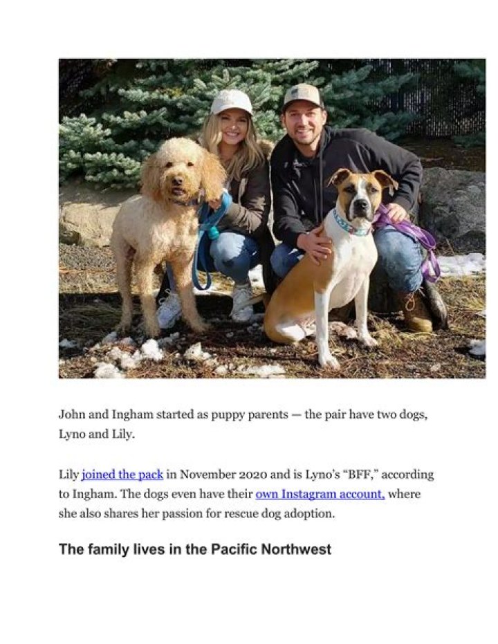 Unveiling The Fascinating World Of Alyssa Ingham Blippi: Discoveries And Insights For