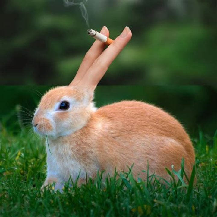 Unveiling The Genius Of Stephen McMennamy: CodeConnoi Insights