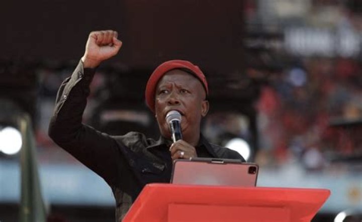Unveiling The Impact: Julius Malema's Controversial Comments