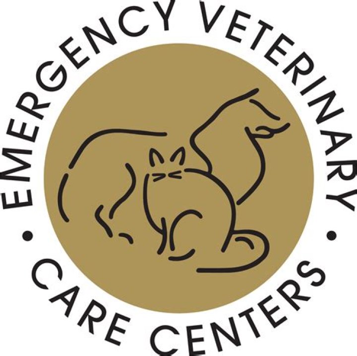 Unveiling The Innovations Of Dr. Destiny Riekeberg In Emergency Veterinary Care
