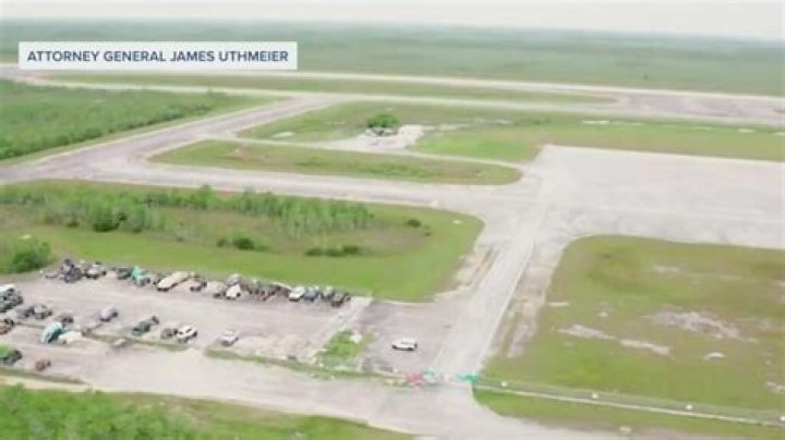 Unveiling The Secrets: Alligator's Predatory Tactics Exposed