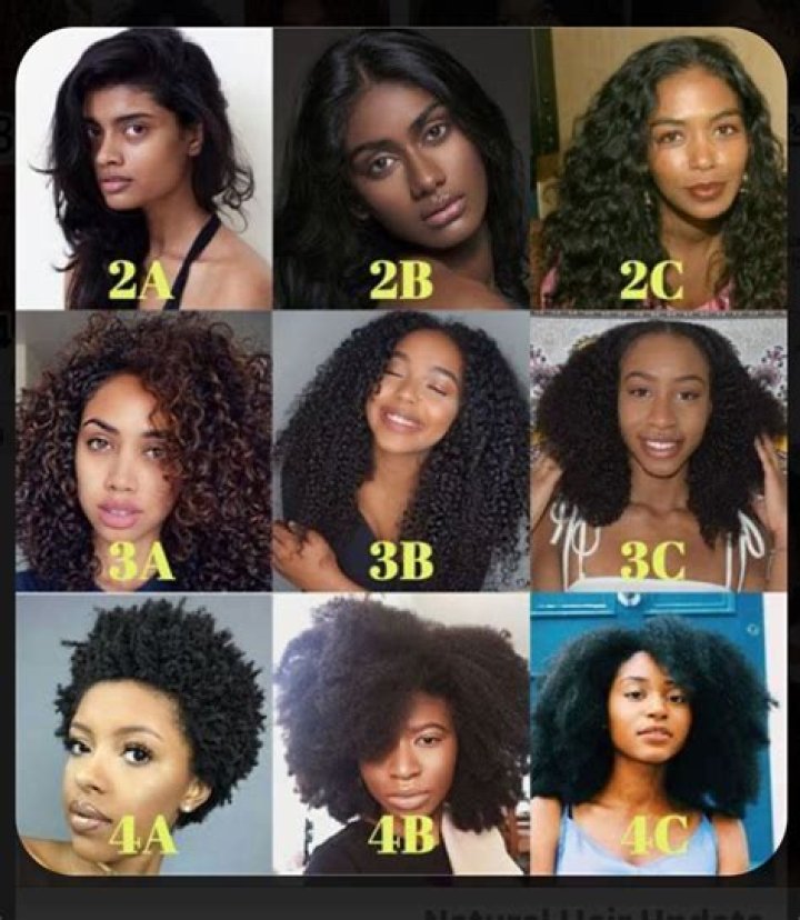 Unveiling The Secrets Of Black Women Hair Types: Discoveries And Insights