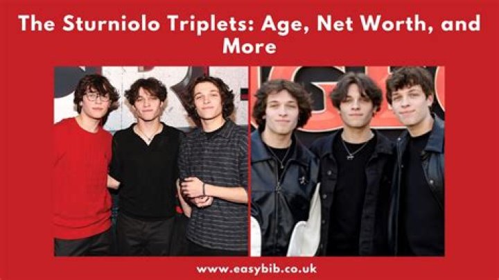 Unveiling The Secrets Of Christopher Sturniolo's Net Worth