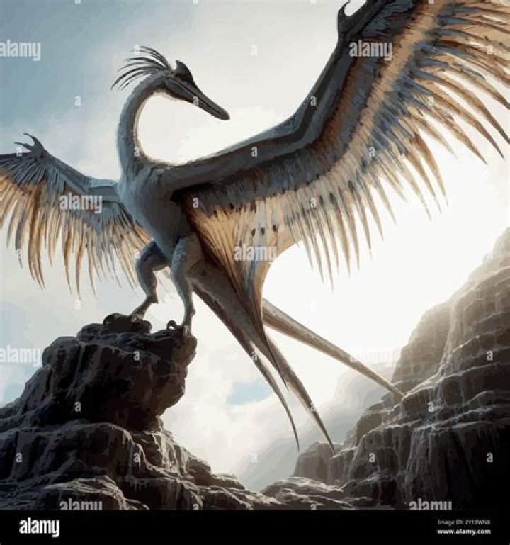 Unveiling The Secrets Of Lyna Perez's Height: Insights And Discoveries