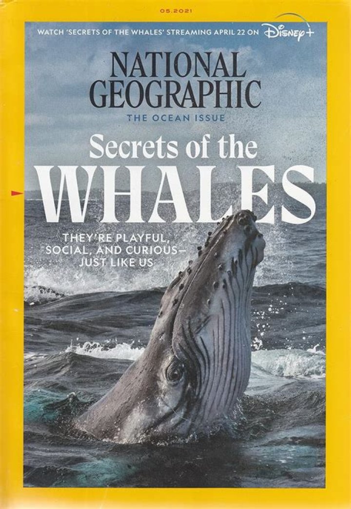 Unveiling The Secrets Of Ocean Alley Names: Discoveries And Insights Await