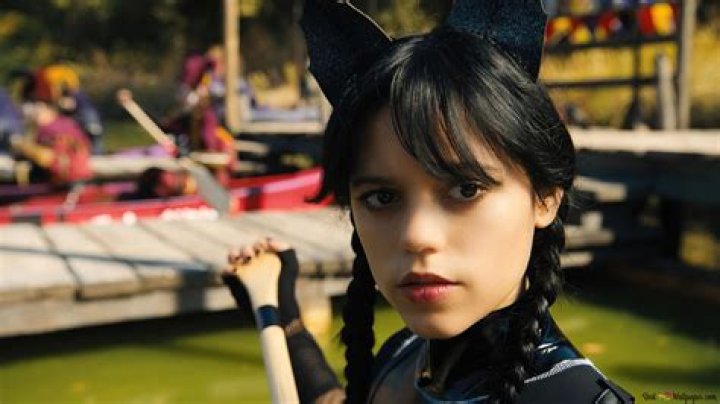 Unveiling The Secrets Of The Black Cat Cycle: Discoveries And Insights