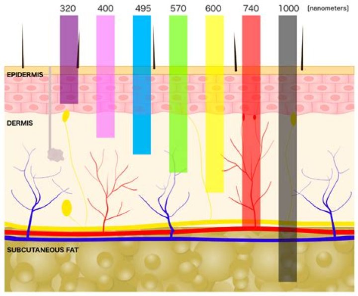 Unveiling The Spectrum Of Black Hair: Discoveries And Insights