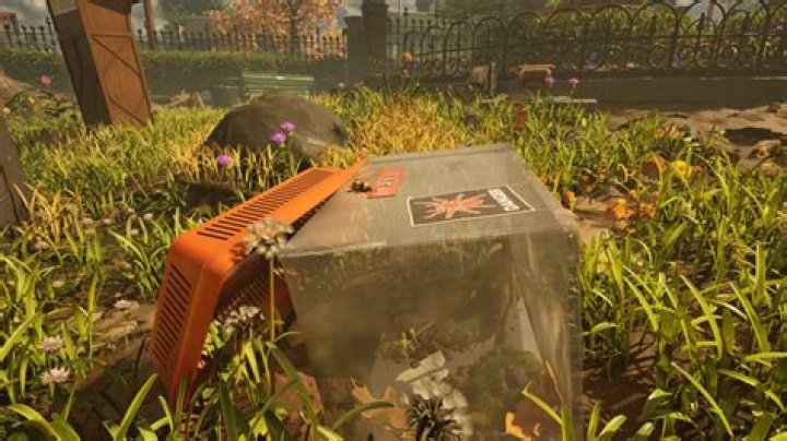 Who Is Axl Rose Married To? Unraveling the Mysteries of the Rock Legend's Love Life