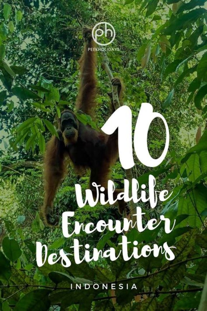 Wildlife Encounters, Conservation, And Adventure